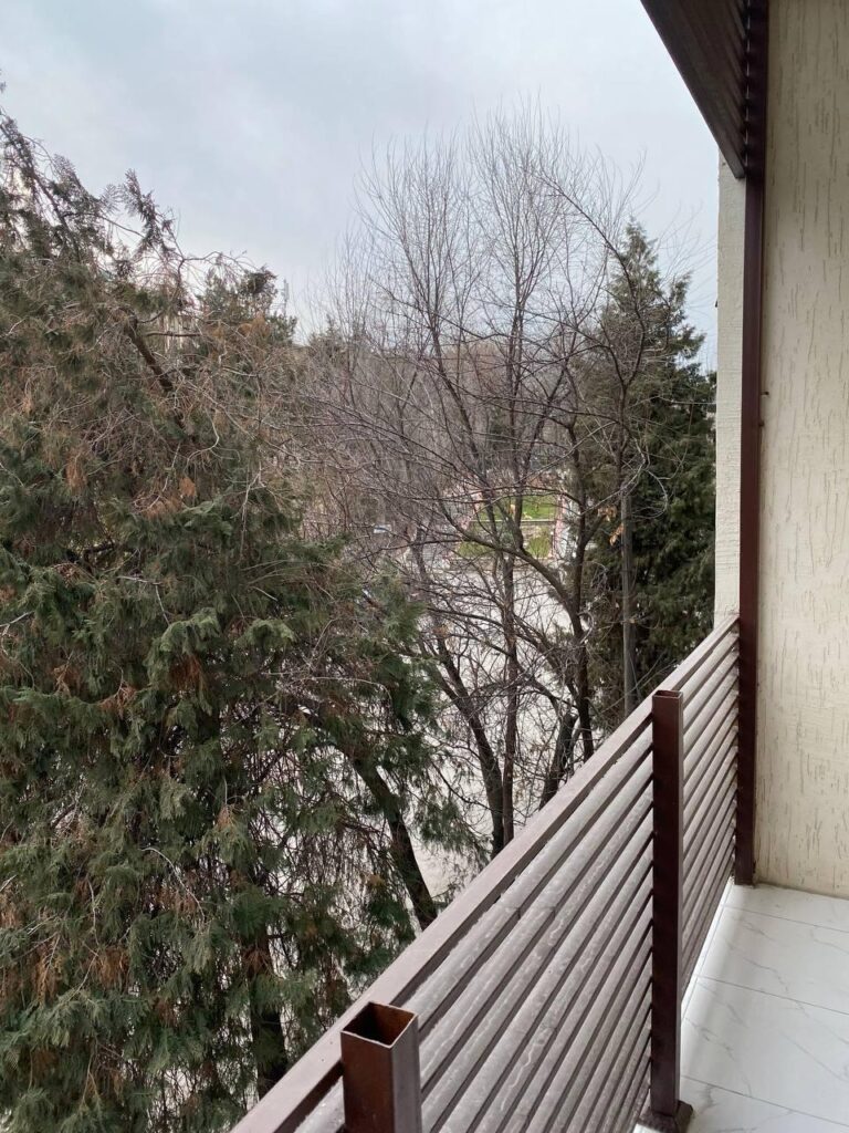 Изображение WhatsApp 2025-02-27 в 19.02.08_96b082f8